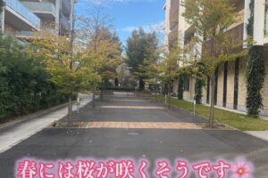 ココロネ板橋　障害者支援施設